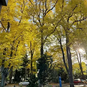 Frühstückspension Stadtpark